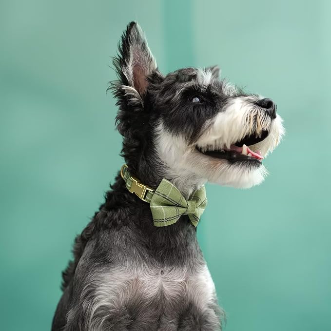Beirui Cute Small Dog Harness Collar and Leash Set with Bowtie, Soft Adjustable Plaid Puppy Harness for Small Sized Dogs Cats Walks Parties and Photoshoots(Green,S:Chest 17-23")