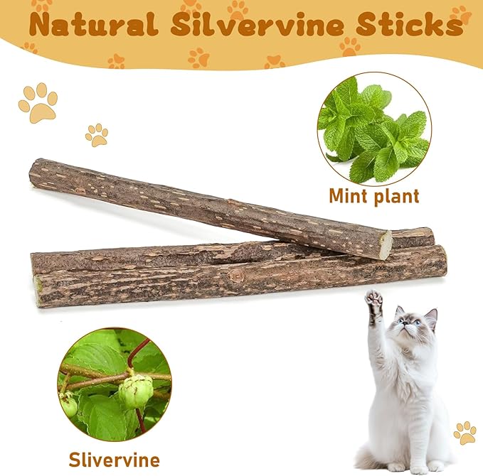 WoLover Silvervine Sticks for Cats, Natural Catnip Matatabi Chew Sticks Teeth Molar Chew Toys for Cat Kitten Kitty (at Least 12 PCS)