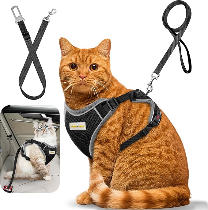 Cat Harness and Leash for Walking, Retractable Cat Harnesses and Leash Set Escape Proof, Breathable Soft Kitten Small Large Harness for Travel Training and Walking, Black, XS