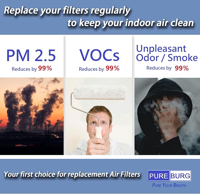 PUREBURG Replacement Filters Compatible