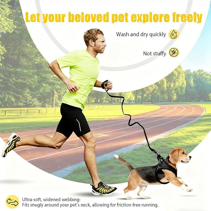 Dog Harness Small Sized and Leash Set, Dog Harness with Leash Set, Comfortable Air Mesh Dog Vest Harness with Reflective Strip, Reflective for Safe Easy Walking Dogs, Cats, Black M