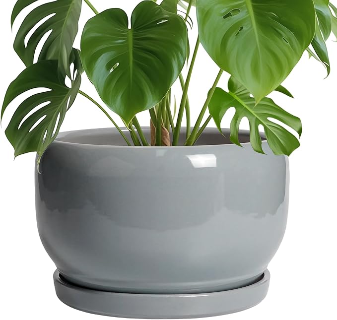 SQOWL 10 Inch Plant Pot - Ceramic Planter for Indoor Plants, Round Ceramic Flower Pot with Drainage Hole and Saucer, Modern Large Outdoor Planter, Room Decor, Housewarming Gifts, Gray