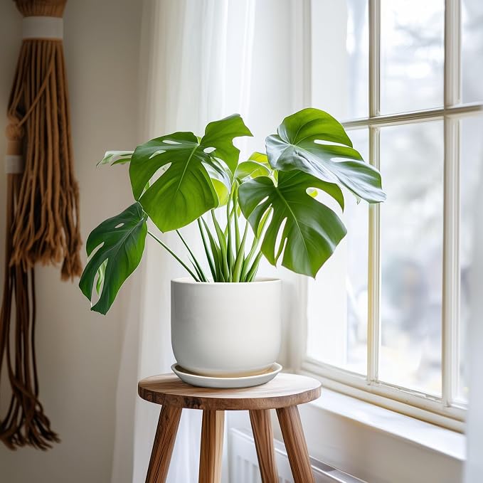 Ceramic Pot for Plants 7 Inch - Modern Round Indoor Outdoor Planter with Drainage Hole and Saucer, Home House Office Room Decor, White