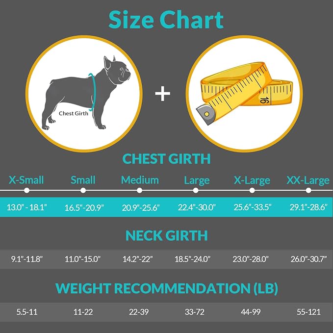 Shark Dog Life Jacket, LifeVests for Boating, High Buoyant Dog Life Vest for Swimming, Adjustable Easy On Pet Jackets for Small, Medium, Large Dogs (Red Triangle,M)