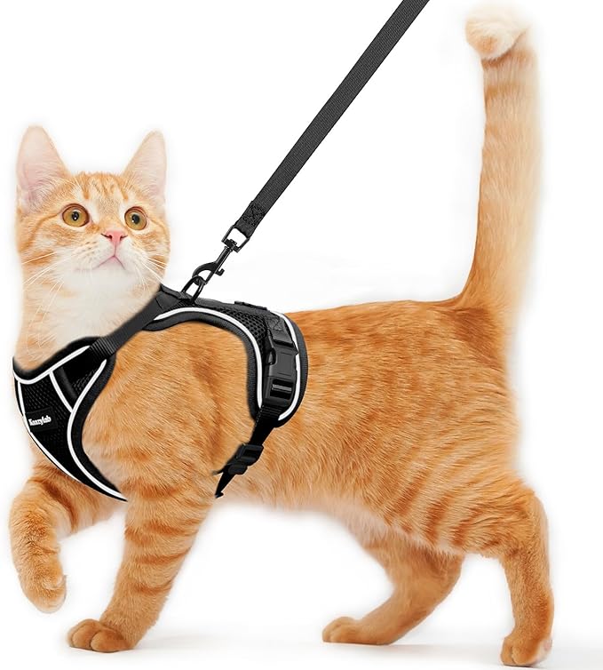 Cat Harness and Leash for Walking Escape Proof Soft Adjustable Cat Leash Breathable Comfortable Vest Easy to Wear Kitten Harness for Outdoor Travel Black M