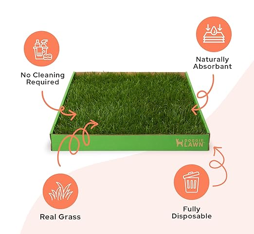 DoggieLawn Real Grass Dog Pee Pads w/ Tray - Standard Dog Potty Pad 24x16 | No-cleaning, odor-reducing puppy potty training pad for housebreaking, indoor or outdoor use, real grass, replace when needed