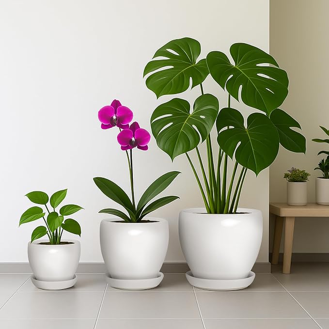 Deep Dream 6 Inch Plant Pot - Ceramic Planter with Drainage Hole and Trays, Modern Round Flower Pot, Planters for Indoor Outdoor Plants, Home Garden Decor, White