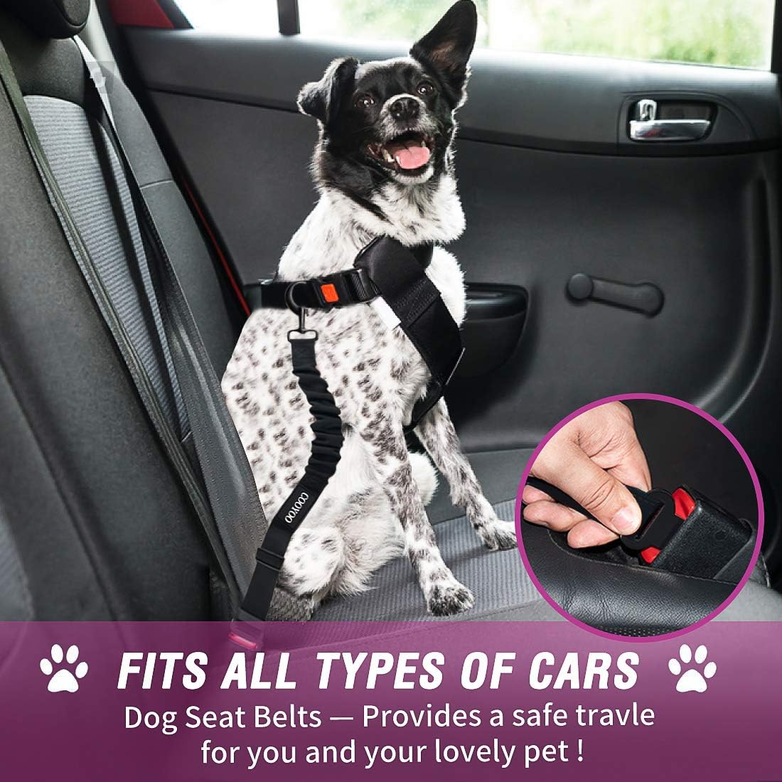 COOYOO Dog Seat Belt,3 Piece Set Retractable Dog Car Adjustable Seatbelts for Vehicle Nylon Pet Safety Heavy Duty & Elastic & Durable Car Harness for Dogs