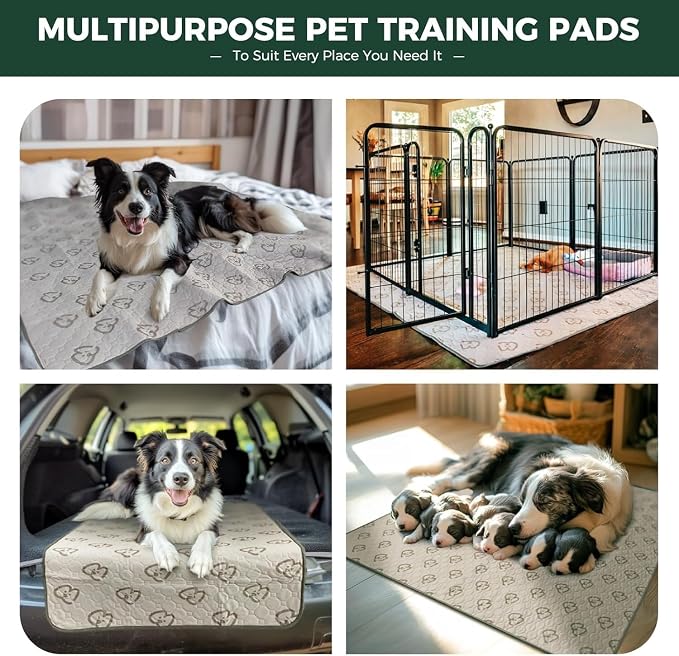 FXW Washable Pee Pads for Dogs, Super Absorbent, 43" x 98", 2 Packs | Machine washable, Non-slip backing, Fits 32"/40"/45"H 8-Panel FXW Rollick/Homeplus Playpens