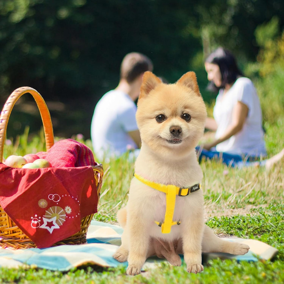 PUPTECK No Pull Dog Harness Soft Adjustable Basic Nylon Step in Puppy Vest Outdoor Walking with ID Tag, Yellow, XS