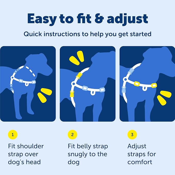 PetSafe Easy Walk Harness, No Pull Dog Harness, Black, Petite | Patented Martingale Loop Gives Gradual Shoulder Pressure to Stop Pulling, Front-Chest Leash Clip Prevents Gagging
