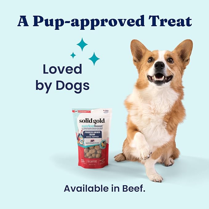 Solid Gold Freeze Dried Dog Food - W/Real Beef, Pumpkin & Superfoods - Freeze Dried Raw Dog Food Toppers for Picky Eaters to Serve as a Nutrient-Dense Meal Topper or High Protein Treats - 12oz