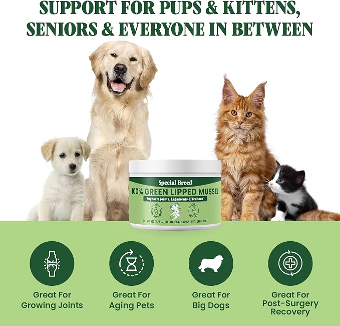 Green Lipped Mussel Powder for Dogs & Cats - 100% New Zealand Green Lipped Mussels - Natural Hip & Joint Supplement for Joints, Tendons, Ligaments, Muscles - 50 Grams - Up to 166 Servings