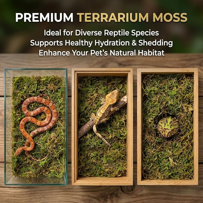 Sukh Sphagnum Moss for Reptiles -Terrarium Moss for Reptiles Peat Moss for Reptiles Habitat Bedding Moss for Snakes Turtle Frog Gecko and Other Reptiles Substrate (15.8, Ounces)