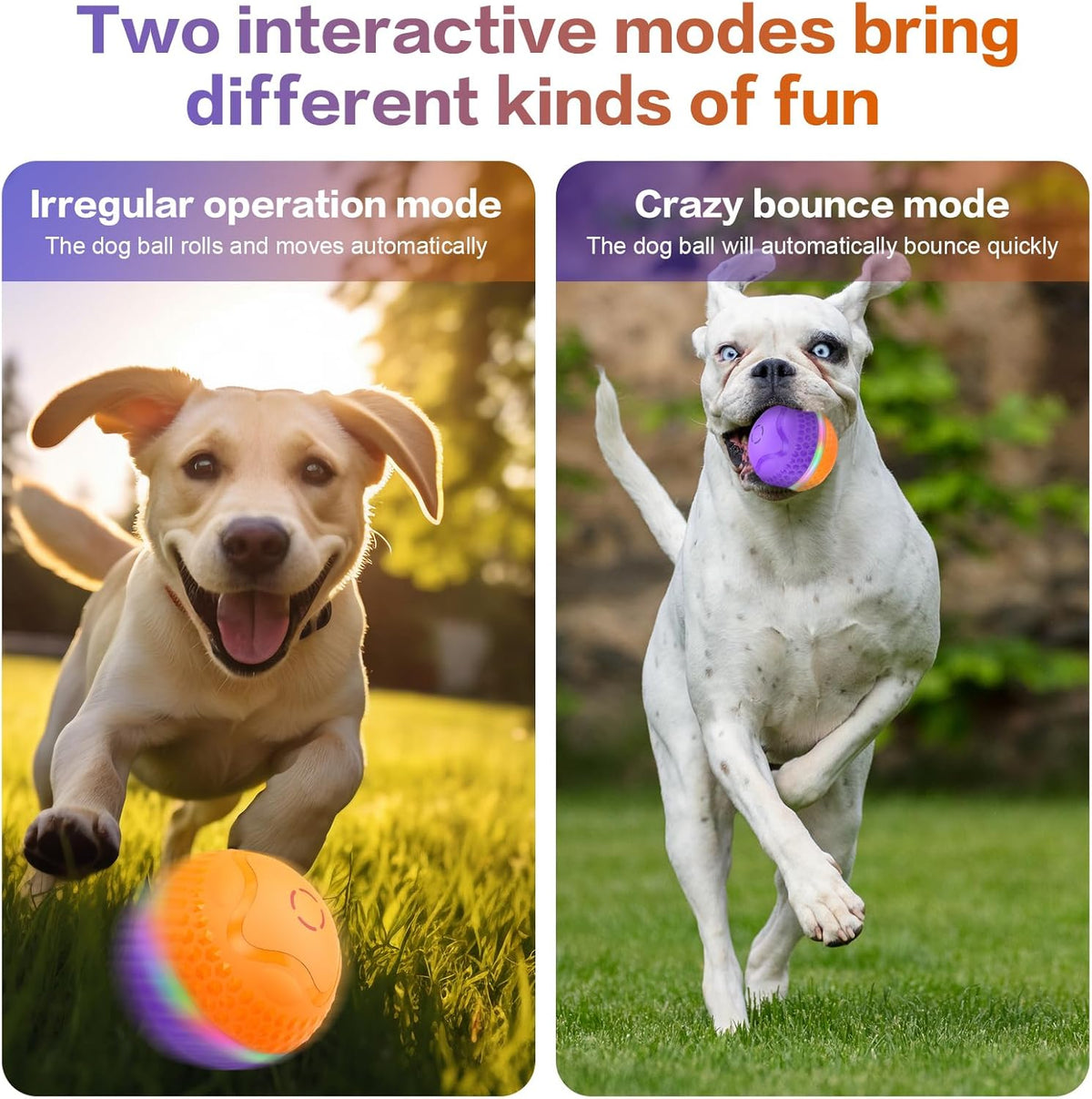Interactive Dog Toys Ball, Automatic Rolling Toy, Lively pet Ball for Medium/Large Dogs to Relieve Boredom, Activated Automatic Motion Dog Balls Toy with LED Flash, USB Rechargeable (Orange+Purple)