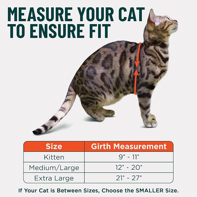 Houdini™ Escape Proof Kitten Harness + Leash (Multicolor, S) | Adjustable walking vest with 6ft lead, breathable mesh, snug secure fit, light and gentle for first outdoor adventures
