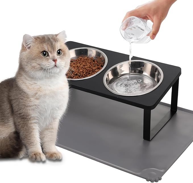 Upgraded Elevated Cat Bowls with Food Mat,15°Tilted Stand Anti Vomiting Raised Cat Dishes for Food and Water,2 Stainless Steel Bowls for Cats and Puppy（Black）