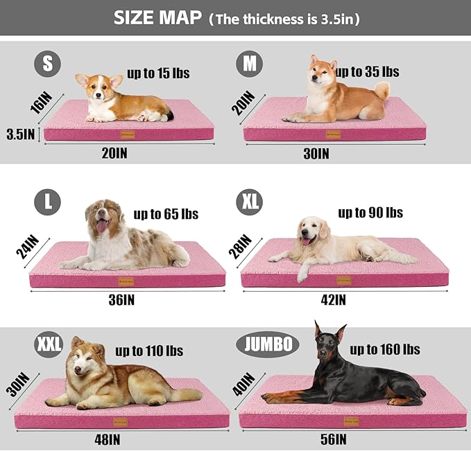 Patas Lague Orthopedic Large Dog Bed Washable Pet Sofa Mat 36''X24'' Pink | Egg-Crate Foam Dog Couch For Large Sized Dogs, Waterproof Removable Cover, Soft Pet Crate Bed With Nonskid Bottom