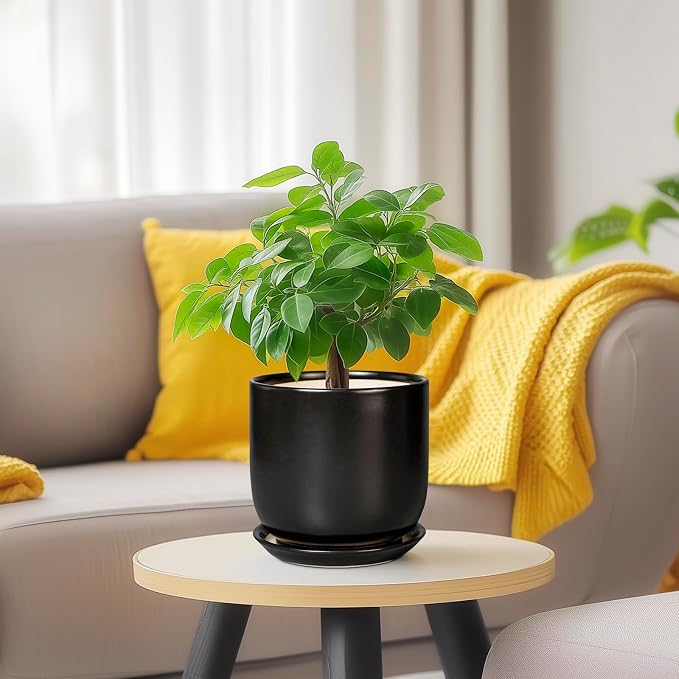 Ceramic Pot for Plants 5 Inch - Modern Round Indoor Planter for Cactus Succulent Plants with Drainage Hole and Saucer, Home Room House Office Decor, Black