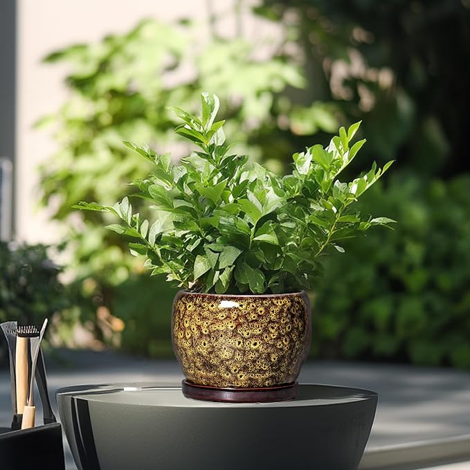 SQOWL 6 Inch Plant Pot - Ceramic Flower Pots with Drainage Hole and Saucer, Ceramic Planter for Indoor Plants Outdoor, Round Decorative Small Planter, Table Desk Decor, Housewarming Gifts, Yellow