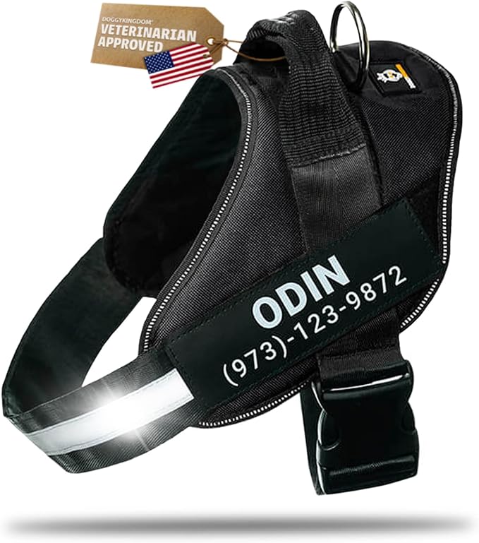 Personalized Dog Harness with Custom Name Patches, Adjustable Reflective No Choke Dog Vest with Handle for Medium Sized Dog, Black, M