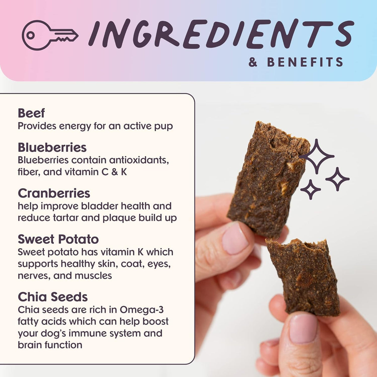 Bundle x Joy Leash & Load Dog Treats Beef Jerky Snack Bars, 5 oz Bag, Puppy and Training Treats, Natural Superfood Grain Free Made with Real Beef, Superfoods, Corn, Poultry & Soy Free