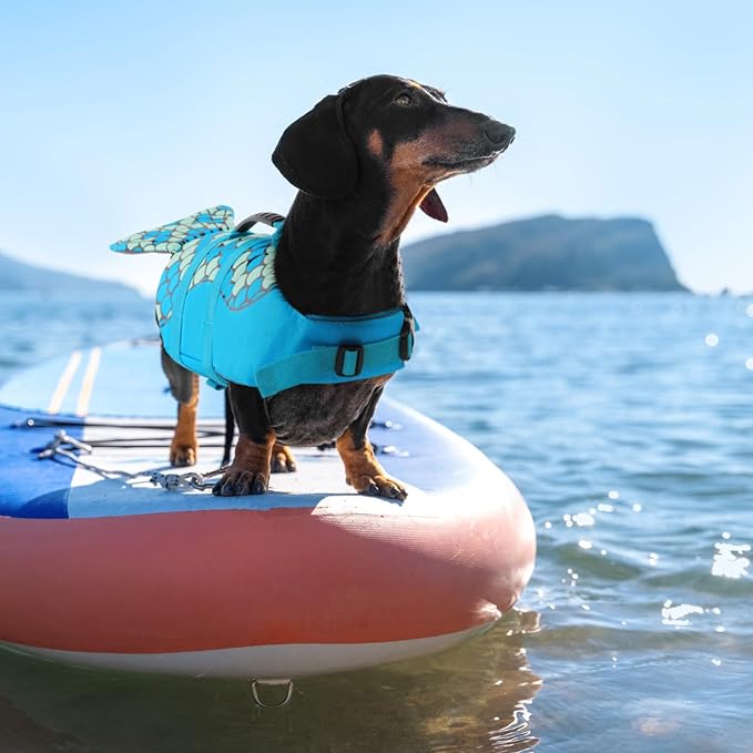 Mermaid Dog Life Jacket - Lightweight Dog Swimming Vest, High Buoyant, Blue, XL