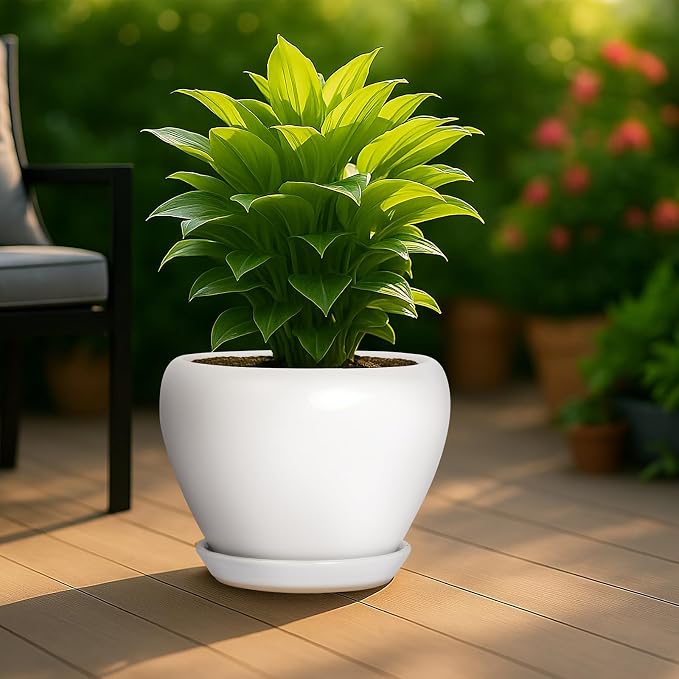 Deep Dream 10 Inch Plant Pot- Ceramic Planter Pot Round Plant Pots for Indoor Plants Outdoor Large Flower Pot with Drainage Holes & Trays, White