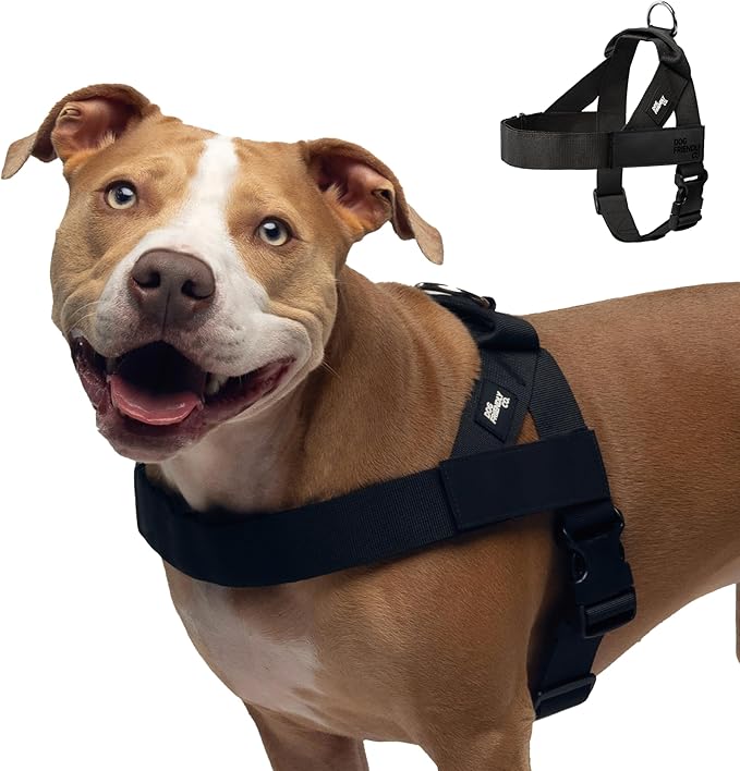 Dog Friendly Co. Dog Harness for Small Dogs (Black, Extra Small) | One Click Buckle, Chafe Resistant Webbing, Adjustable Neck & Chest, and Heavy Duty D-Ring, Sturdy Comfortable and Easy to Use