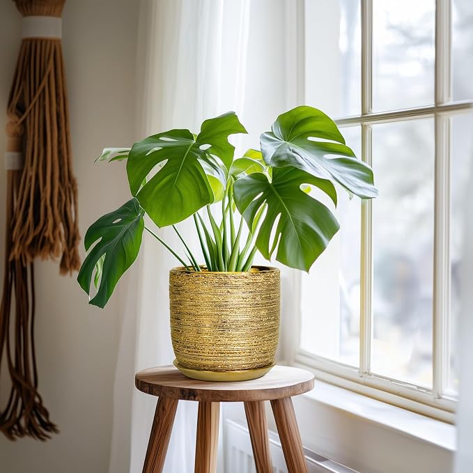Ceramic Plant Pot 7 Inch - Ceramic Planter for Indoor Outdoor Plants, Round Modern Flower Pot with Drainage Hole and Saucer, Housewarming Gifts, House Patio Office Home Decor, Gold
