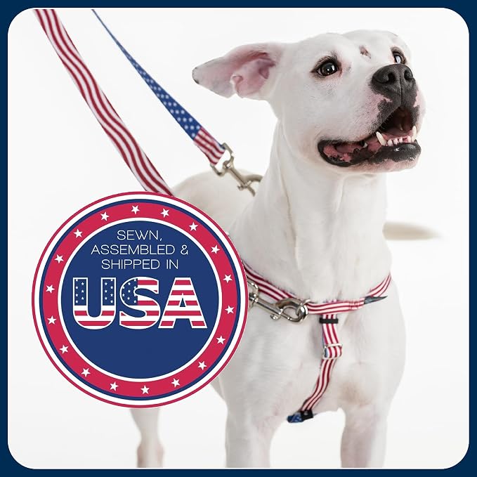 2 Hounds Design Freedom No Pull Dog Harness, 1 inch XXL, Rust | Discourages Pulling, Comfortable Control Adjustable Dog Harness for XXL Sized Dogs, Made in USA (Leash Not Included)