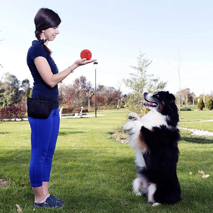 petizer 4" Squeaky Dog Balls for Aggressive Chewers, Durable Interactive Dog Chew Toys for Teething, Floatable Indestructible Rubber Spiky Ball, Tough Pet Toys for Small, Medium & Large Breeds