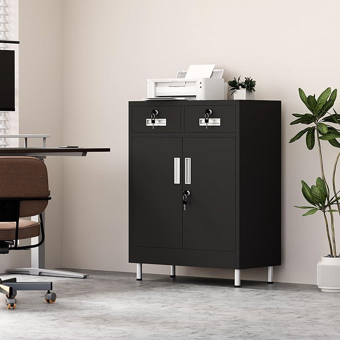 Metal Storage Cabinet with Locking Doors and 2 Drawers, Lockable Storage