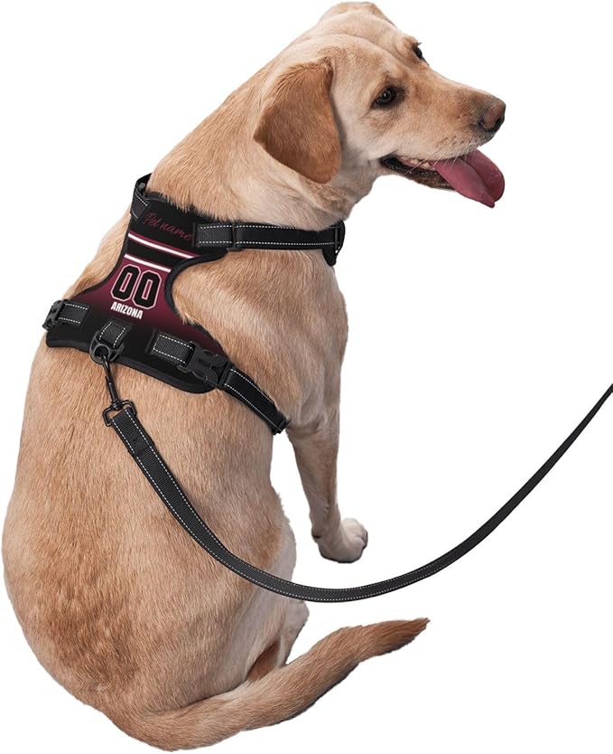 Custom Arizona Dog Harness with Reflective Stripes Personalized Name and Number Dog Vest Harness with Pet Traction Rope for Small Medium Large Dog