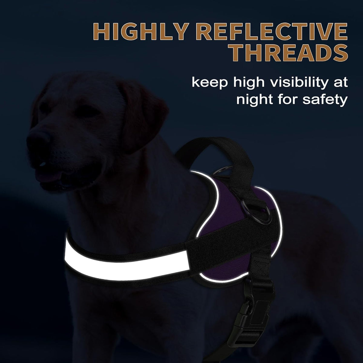 Haapaw Essential Dog Harness, No Pull Pet Vest with 3 Leash Clips, No Choke, Reflective, Adjustable and Padded, for Easy Walking and Training for Large Dogs(XL, Purple)