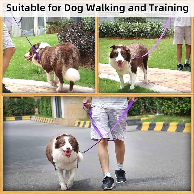 AMAGOOD 6 FT Puppy/Dog Leash, Strong and Durable Traditional Style Leash with Easy to Use Collar Hook, Great for Small, Medium and Large Dogs (1" x 6 ft, Black and Purple (2-Pack))