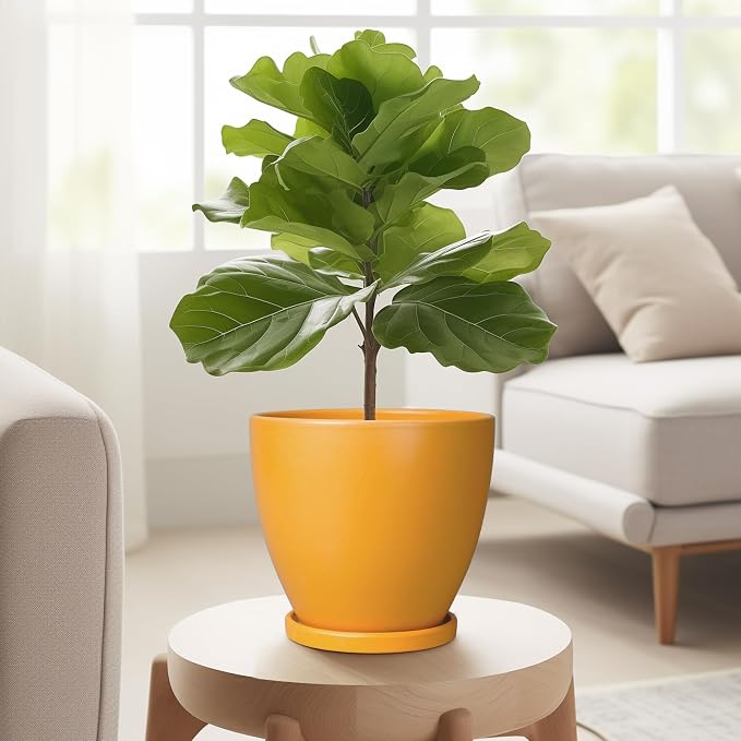 6.8 Inch Plant Pot - Ceramic Planter with Drainage Hole and Saucer, Modern Round Flower Pot, Planters for Indoor Plants, Home Garden Decor, Orange