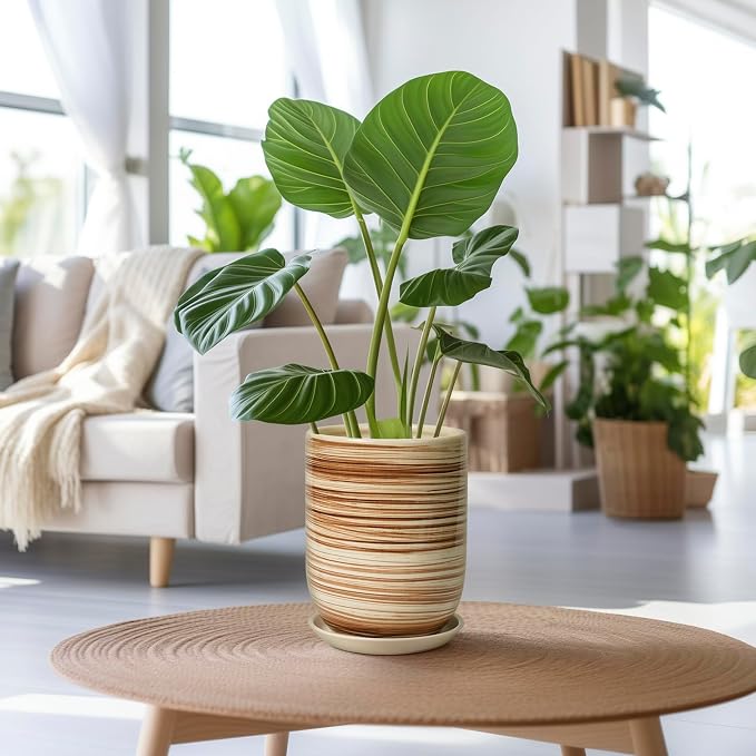 8 Inch Plant Pot, Ceramic Planter for Outdoor Plants, Large Plant Pot Indoor with Drainage Hole and Saucer, Modern Flower Pot for Home Garden Decor Yellow