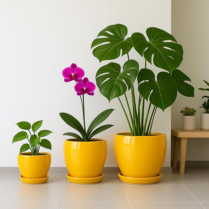 Deep Dream 10 Inch Plant Pot- Ceramic Planter Pot Round Plant Pots for Indoor Plants Outdoor Large Flower Pot with Drainage Holes & Trays, Yellow