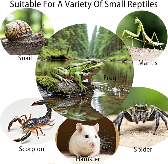 Acrylic Jumping Spider Enclosure,Reptile Enclosure,Bug Habitat, for Small Tree Dwelling Reptiles,Arboreal Tarantula Enclosure, Spider Terrarium Kit,Plastic Terrarium(4.7" X 4.7" X 8")