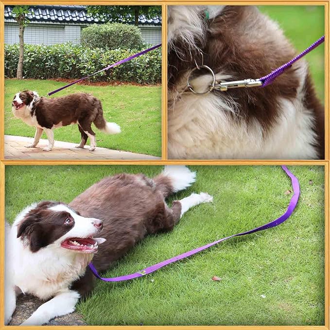 AMAGOOD 6 FT Puppy/Dog Leash, Strong and Durable Traditional Style Leash with Easy to Use Collar Hook, Great for Small, Medium and Large Dogs (3/4 in x 6 ft, Purple)