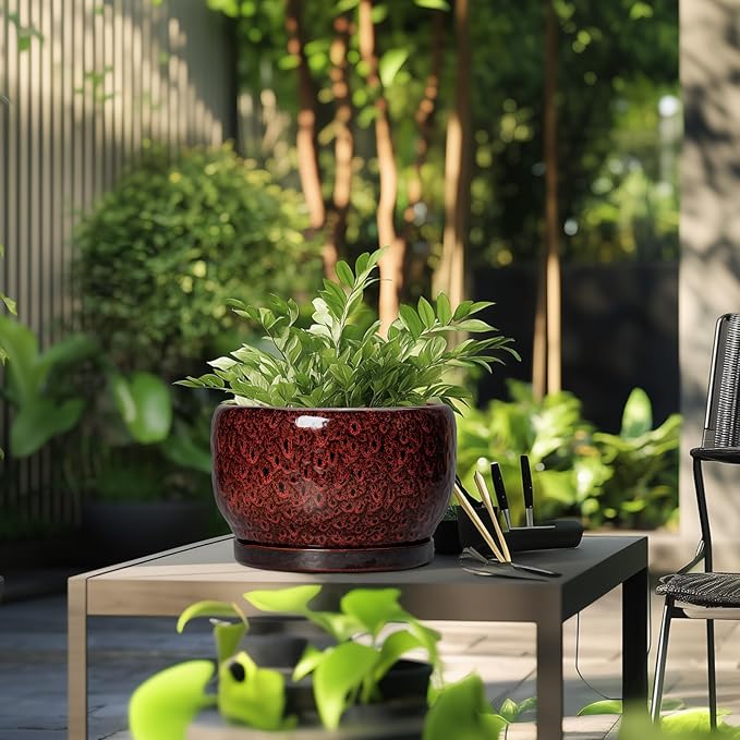 SQOWL Ceramic Flower Pots - 10 Inch Plant Pot Indoor, Ceramic Planter with Drainage Hole and Saucer, Round Decorative Large Planter Outdoor, Home Decor Living Room, Gifts for Plant Lovers, Red
