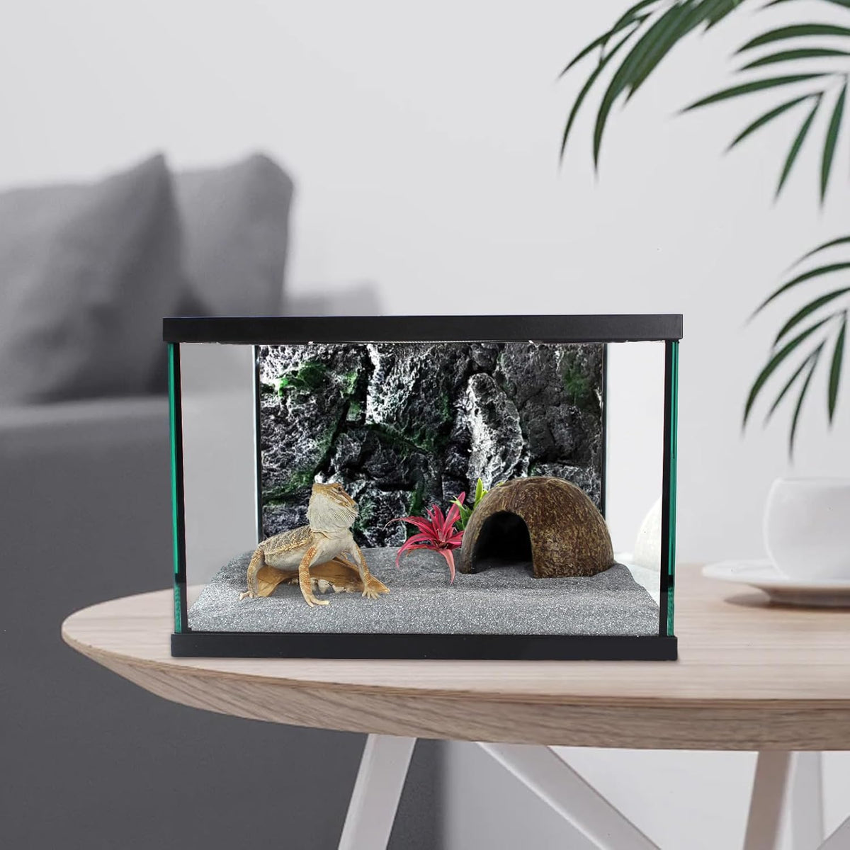 Reptile Glass Terrarium Tank 12 * 12 * 8" Full View with Top Ventilation, Amphibians Box Habitat Enclosure Cage for Frog,Spiders,Dubia Cockroach,Praying Mantis,Cricket,Tarantula,Hermit Crab