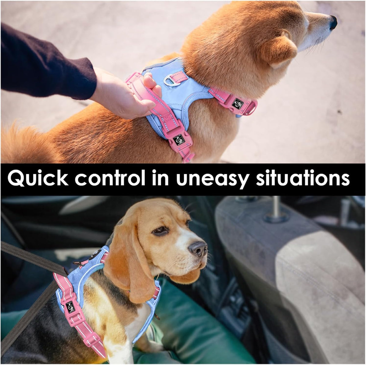 PHOEPET No Pull Dog Harness, Unique Colors Reflective Adjustable Dog Vest, with Soft Training Handle Metal Clips for Small Medium Large Dogs (Baby Blue Base & Pink Straps,S)