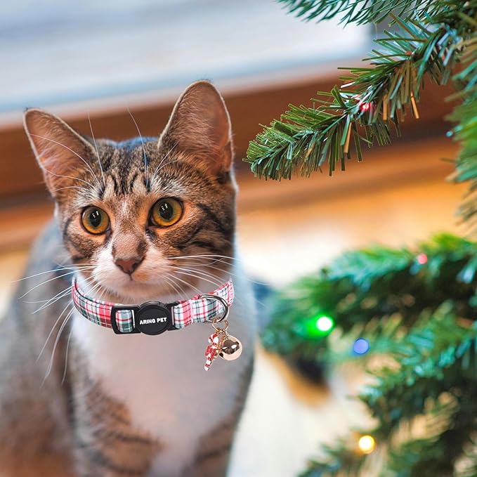 ARING PET 2 Pack Cat Collar, Christmas Breakaway Kitten Small Collars with Bells for Girl Boy Cats-Red Green Pink Plaid & Santa Claus