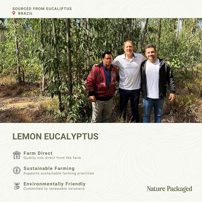 Lemon Eucalyptus Oil by Eucaliptus from Brazil
