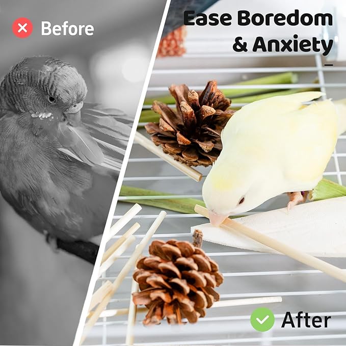 40 Pcs Bird Parrot Toys, Natural Bird Foraging Toy for Cockatiels, Lovebirds, Budgies, Small to Medium Parrot