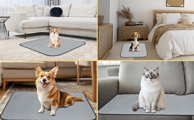 DAHAPYBOO Extra Large Washable Pee Pads for Dogs 36x48,6Pack | Reusable Puppy Pads for Dogs Non-Slip Waterproof Pet Training Pads for Crate, Playpen, Bed, Sofa,Whelping Box, Potty Training