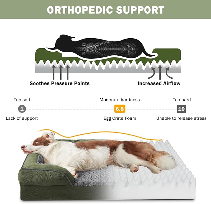 Orthopedic Dog Beds Large Sized, XL Egg-Crate Foam Dog Couch with Washable Removable Cover, Waterproof Lining and Nonskid Bottom