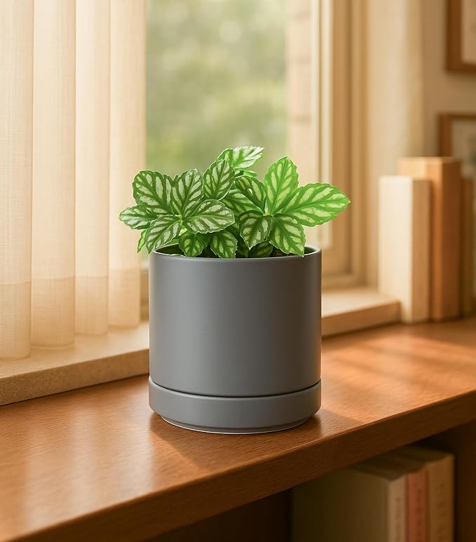 D'vine Dev Set of 2 Plants Pots, 4.7 Inch Ceramic Planter Pot for Plants with Drainage Hole and Saucer, Speckled Grey, 94-V-B-3